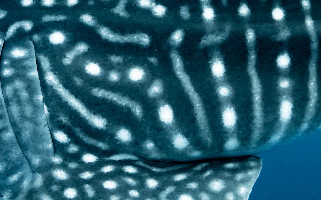 dc44fcfc-7c09-4aa7-b42d-1402e38ee93f