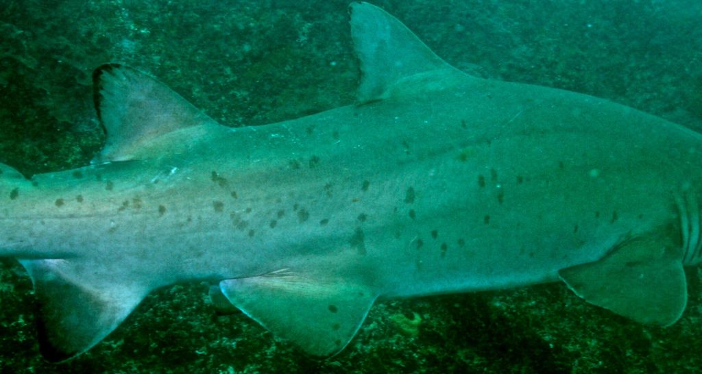 1353deaf-d9c8-4315-952b-eeda012abf39