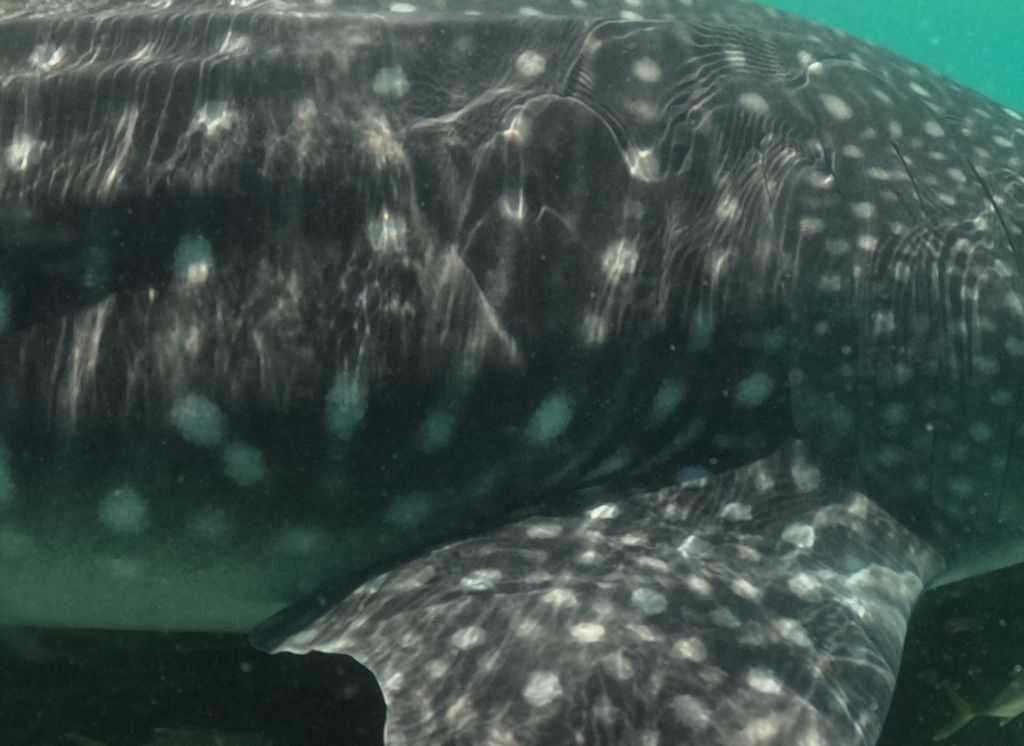 54e4e17e-aa0b-4202-bf44-f9d0c46a2416