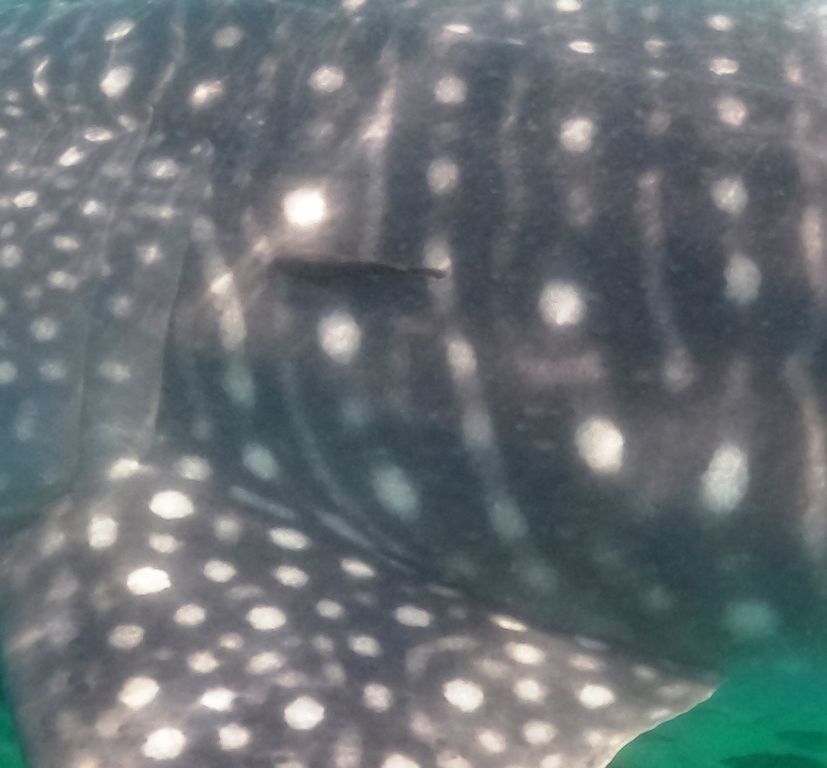 54e4e17e-aa0b-4202-bf44-f9d0c46a2416