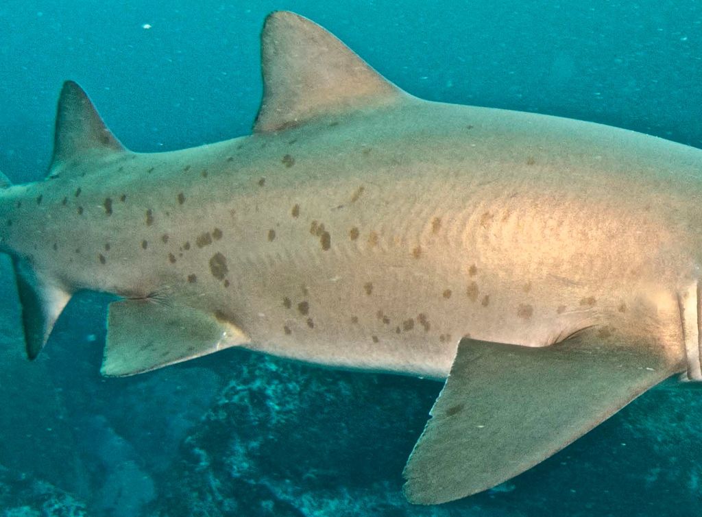 36b32498-8bb1-4dca-b229-1cb523215a34