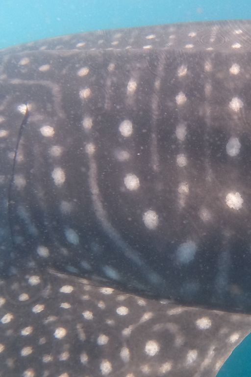 c6b2b270-aeb6-4a75-b764-b86048106848