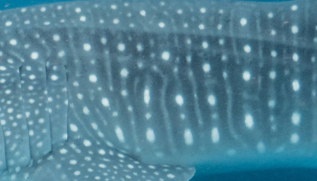 c1ae3a17-d75e-4377-8709-88abe2181d5c