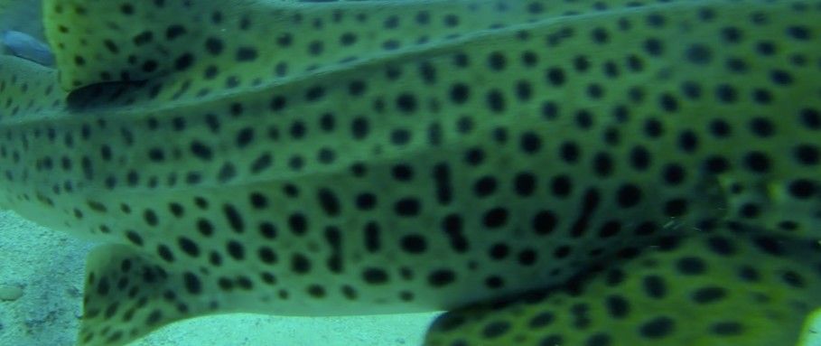 51718d88-6aff-442a-807b-3b7b98f4d81f