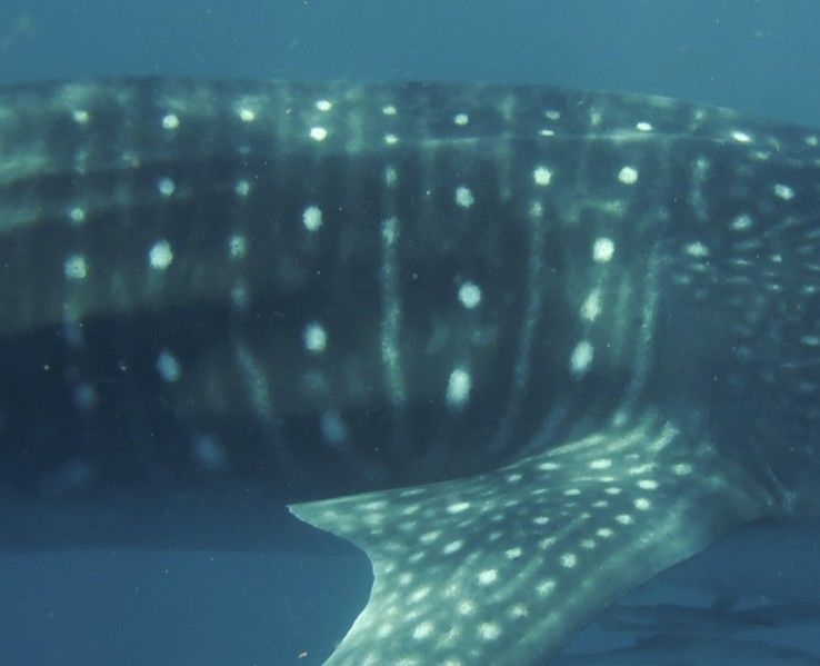 5e799beb-65dc-44e8-8770-8982cb6f9b07