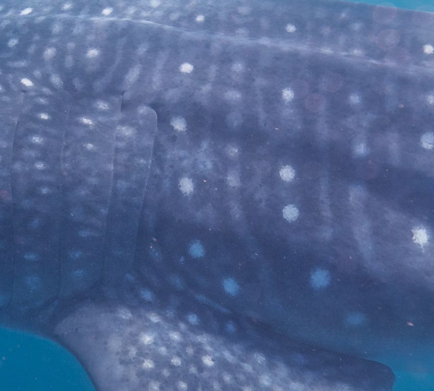 61db70eb-8ab4-4fe3-b012-908501f483d7