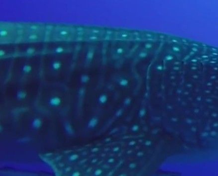 271600b2-0ea4-440e-89c3-e402e38f09b1