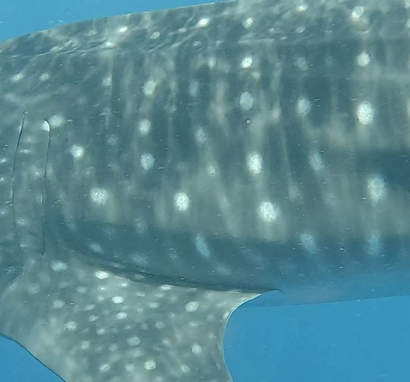 d3c8fcaf-9f49-40d8-87cc-d89b5ece73a6