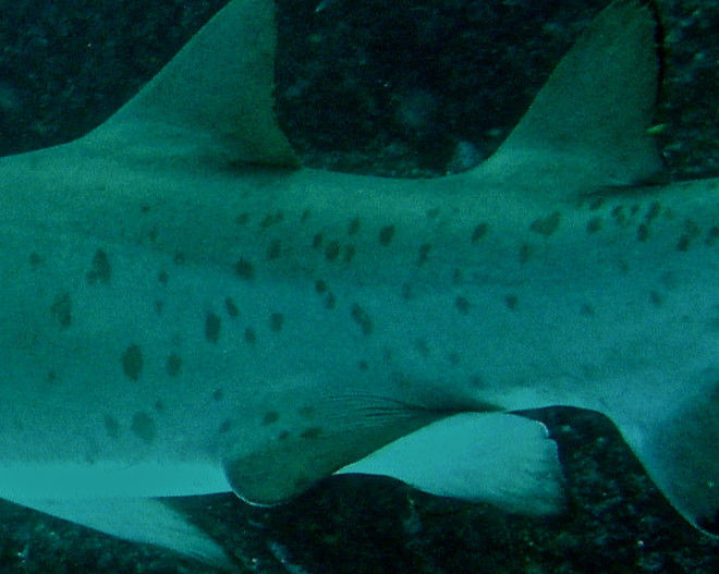 9aff1249-9c45-4316-b785-3befa534bb52