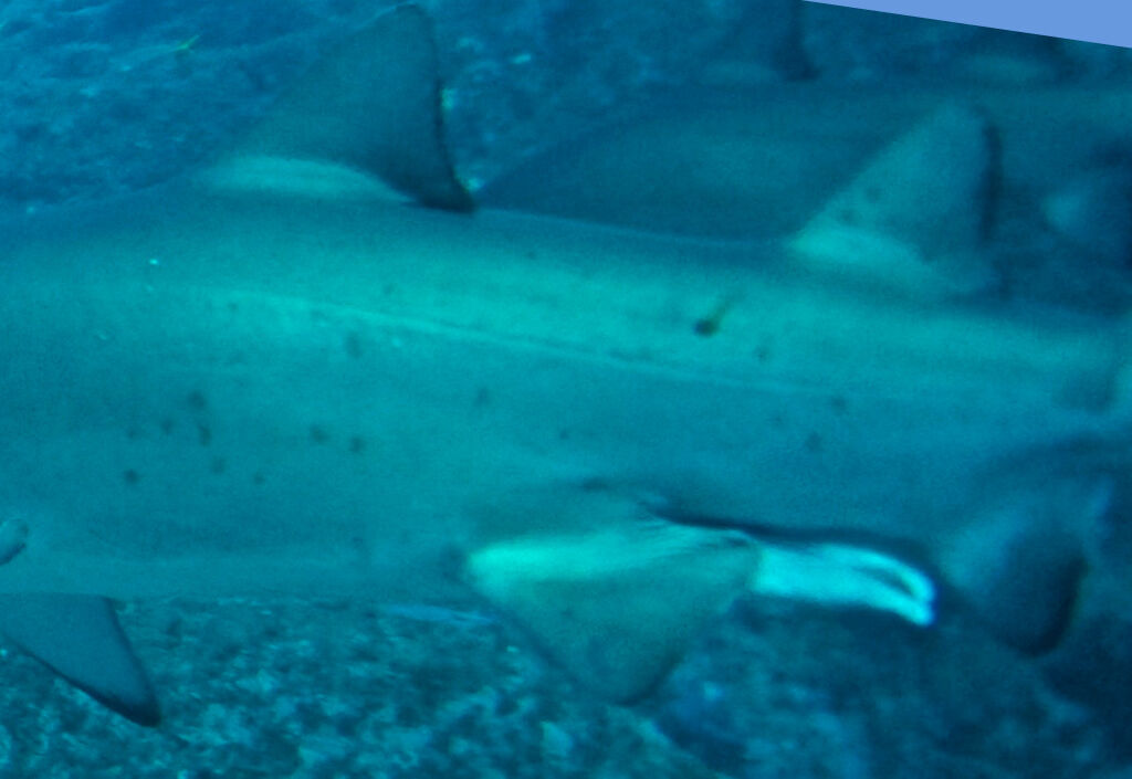 a61213e9-e9d4-49db-9f23-3432b701ccaf