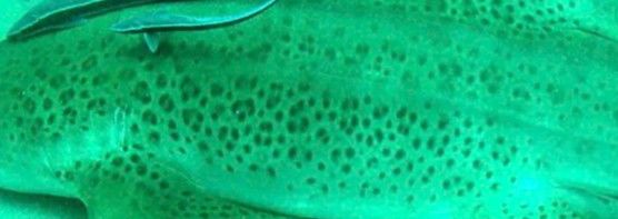 6c814f32-7735-4198-9508-a656d8b631ce