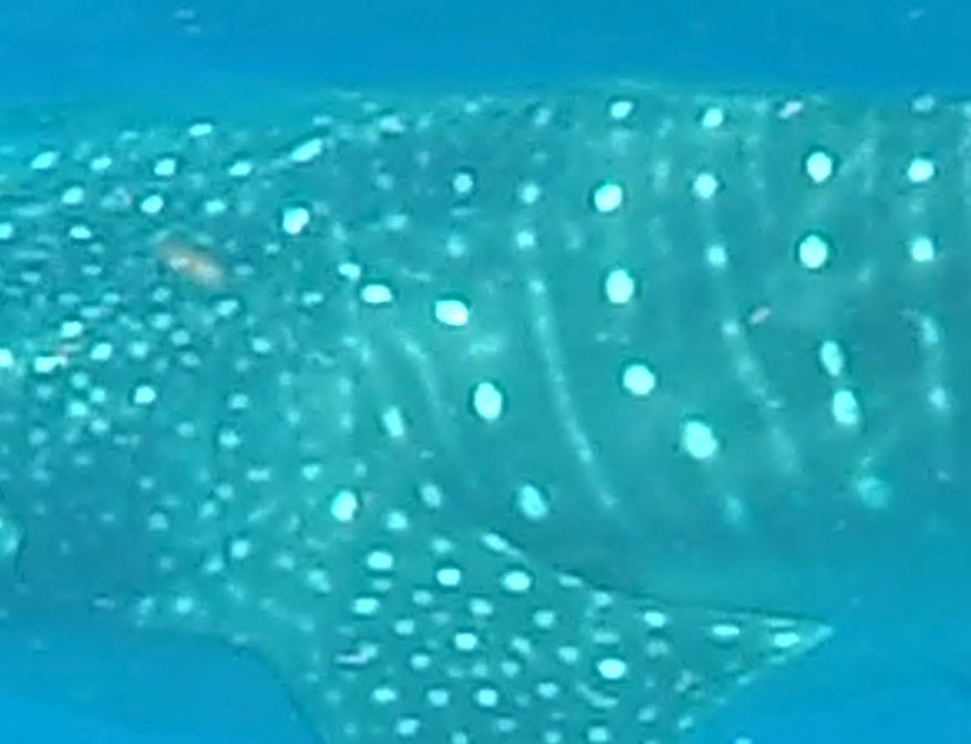 ac54c894-df1b-4cdc-b241-b904fc5940a4