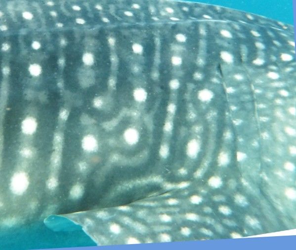 c5229f6e-36f6-4711-8397-0ee86f7b5fbf