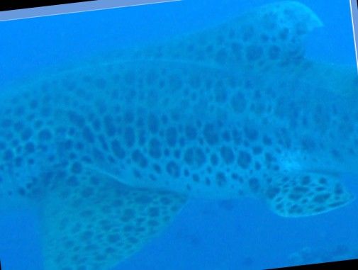 49defdc1-63ce-490b-baec-016fd0689e45