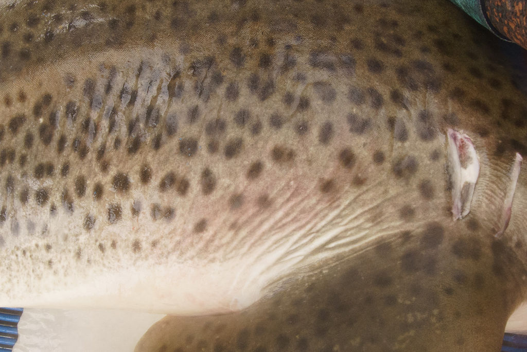 b9dab64d-1800-4405-b306-09ceaa47d84b