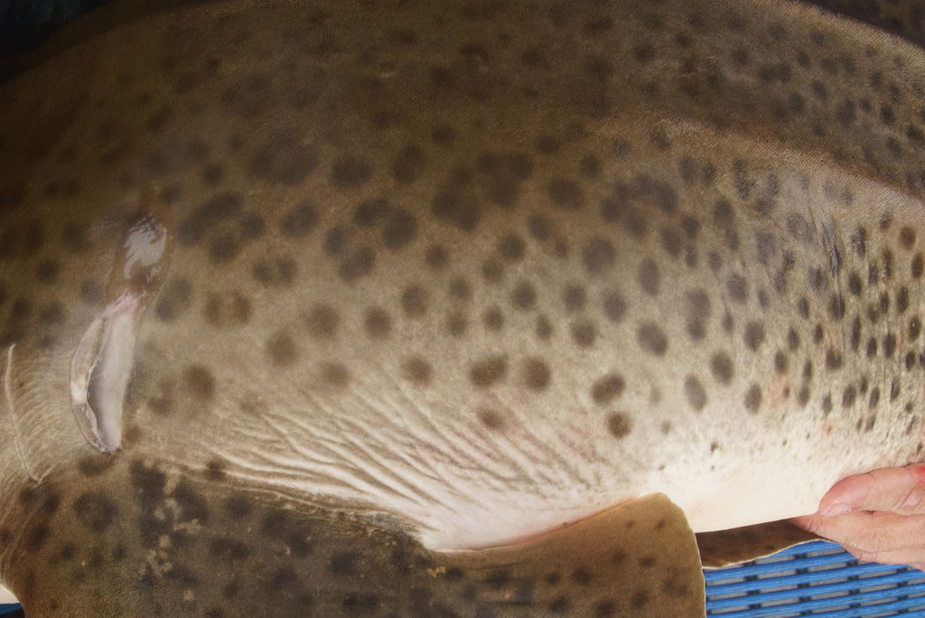 b9dab64d-1800-4405-b306-09ceaa47d84b