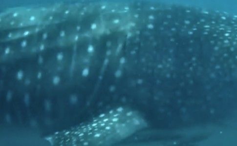 44ca8a10-3491-48be-9c70-e95d24a28527