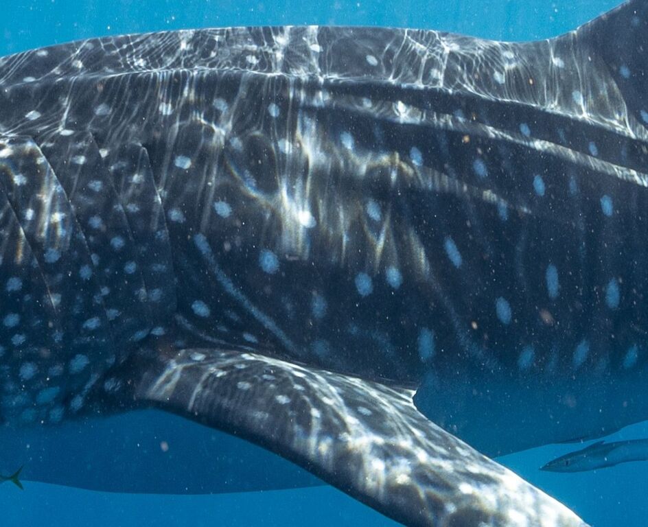 86fb806f-f102-4b99-8a4e-8490f5f3162b