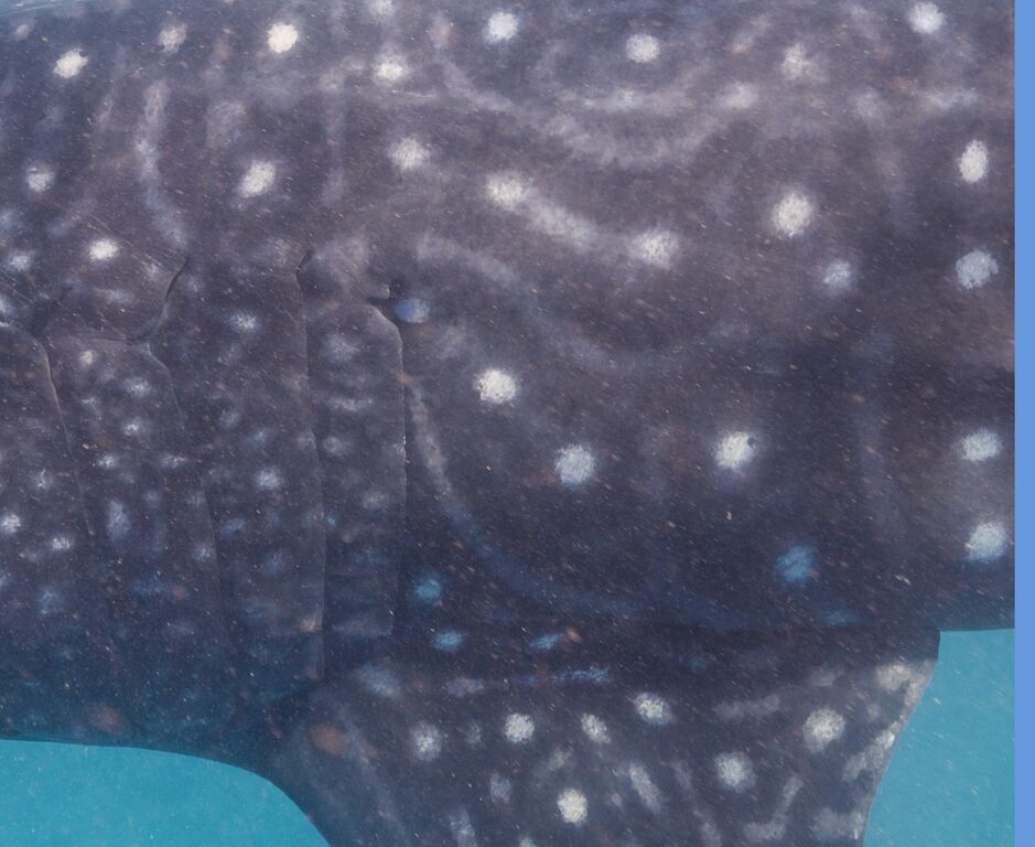 60a992aa-ead1-4dcd-85d9-6a72b1549bfb