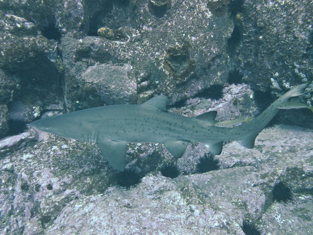 38bcfa6e-e847-4581-a5a1-49092a008c15