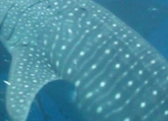 e403bcfd-663f-48ae-9a35-acf42c3a8771