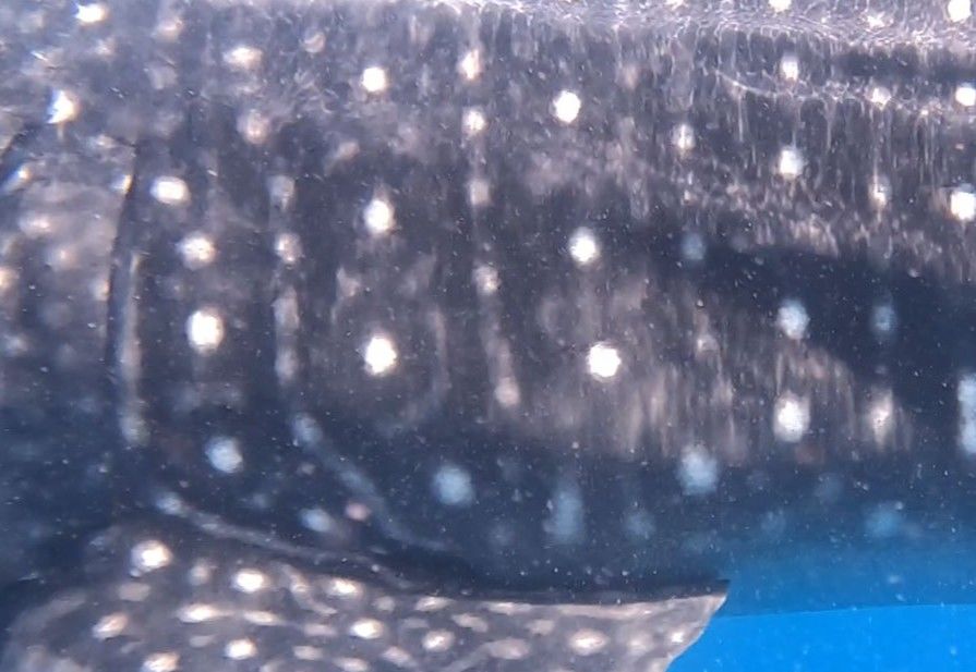 9660eb02-3991-4d96-937f-5fcb86f30a44