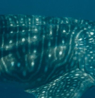 270a7a9a-c98e-425f-967c-24439723414c