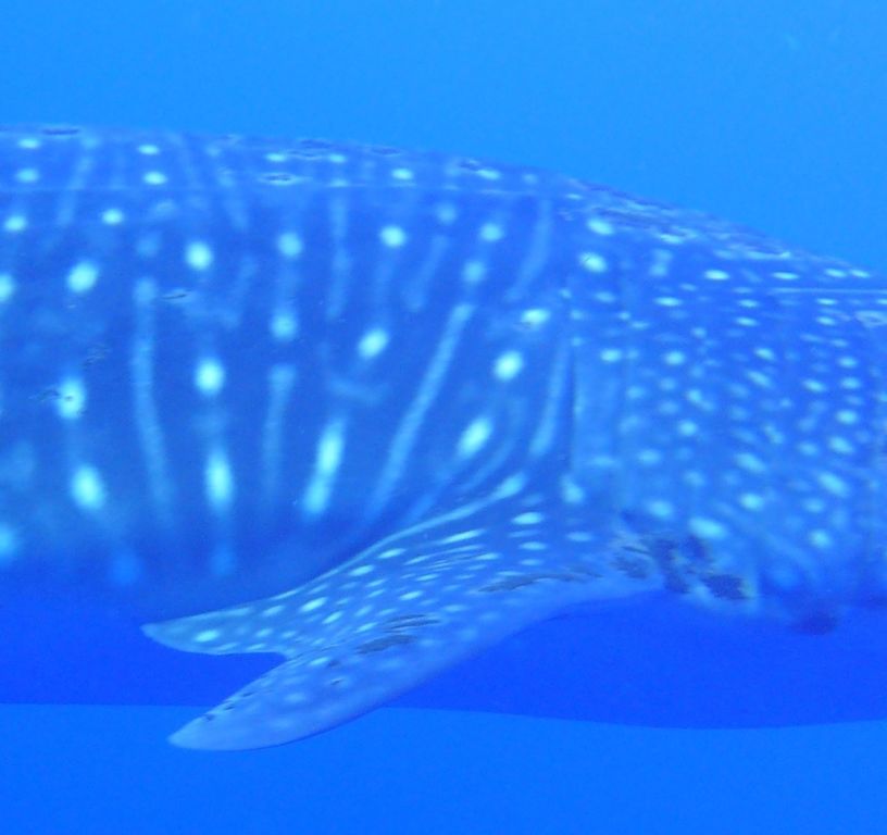 247b8d1b-9a4b-461c-9f43-2d69d30bc1ce