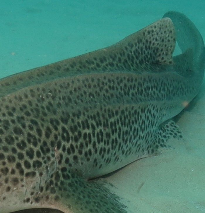 85f7f18c-ff2b-42ec-ba3b-1a5abc4a586d