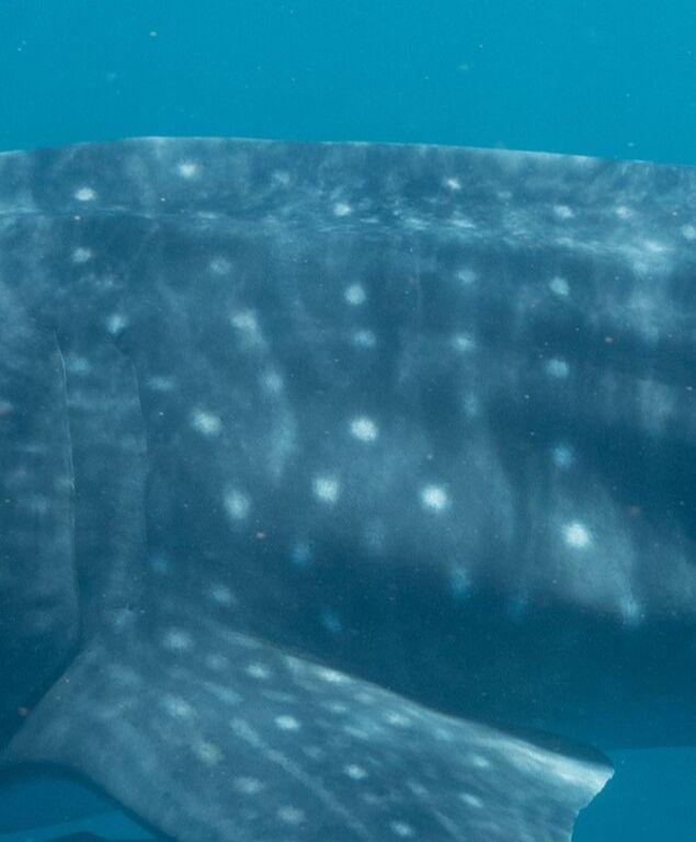 f1384e8e-4a1d-4a9f-809c-2330ad0e13c1