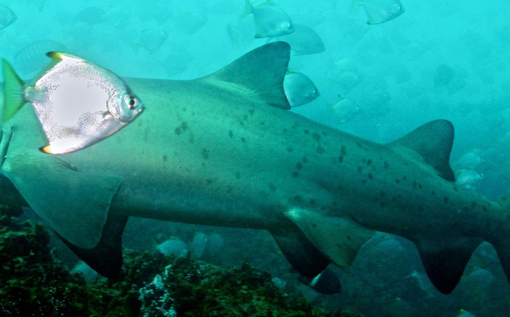 d3de591c-8e55-4ec7-a9b2-de72d25c0de8