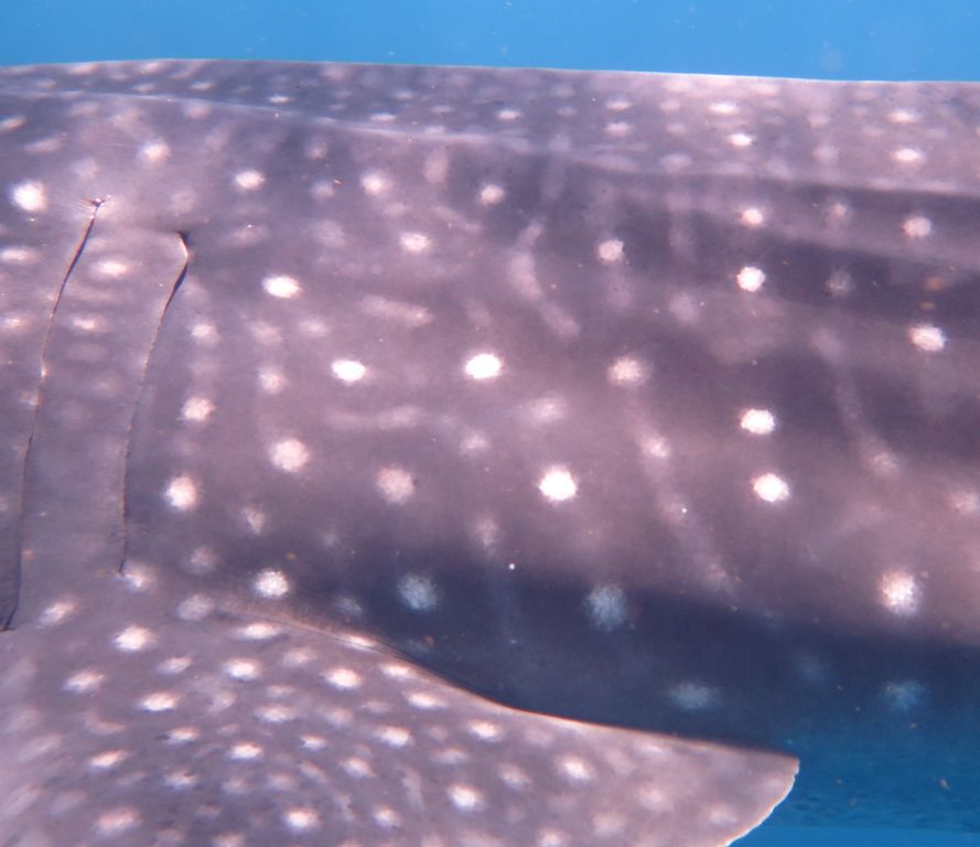 f36eb25d-52f0-4ce1-b3ce-670940a3129a