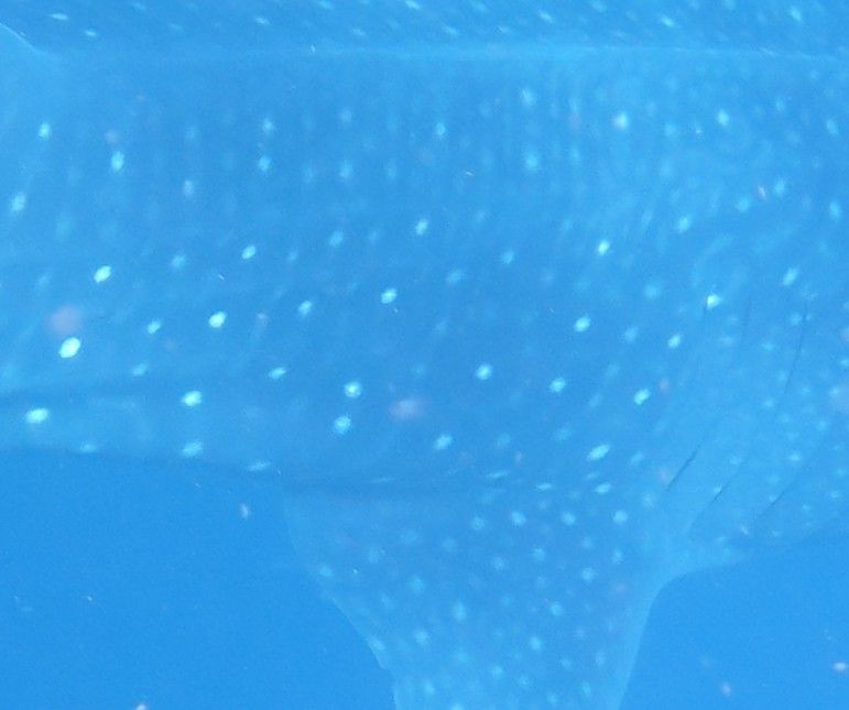 f36eb25d-52f0-4ce1-b3ce-670940a3129a