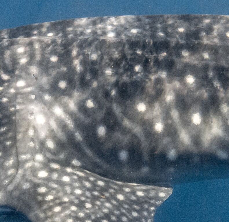 9a423ec4-8096-47d2-aae9-f41d6d9219cd