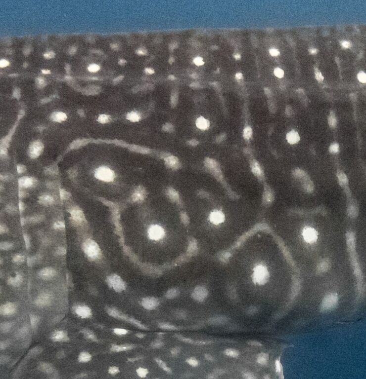 98929eca-99a9-4bd2-bd43-2387d649b026