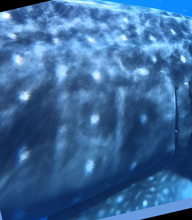 c575e251-24dc-471d-a02f-a911b7c4f9c5