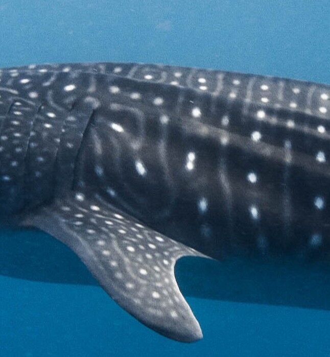 86bad10b-d984-43a6-9123-8f442aa6e75c