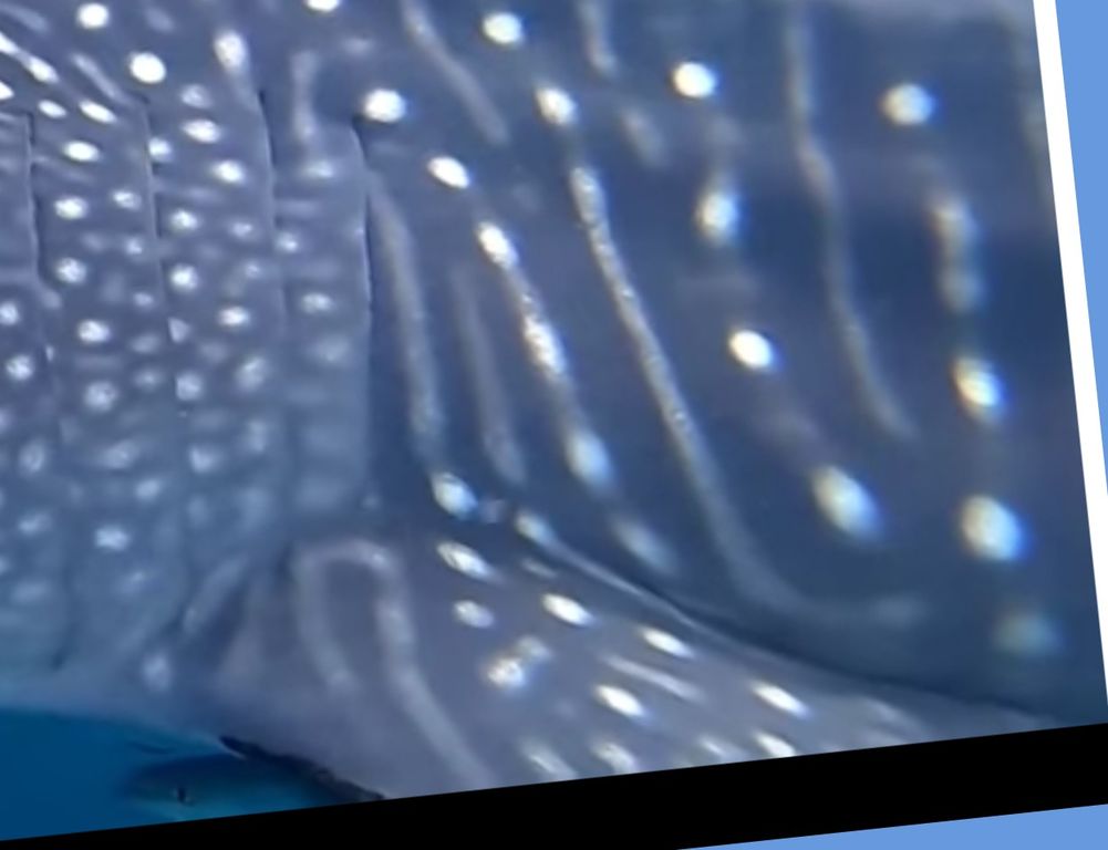 8857aa20-e5bb-49cb-a949-00ff7c9ef7e4