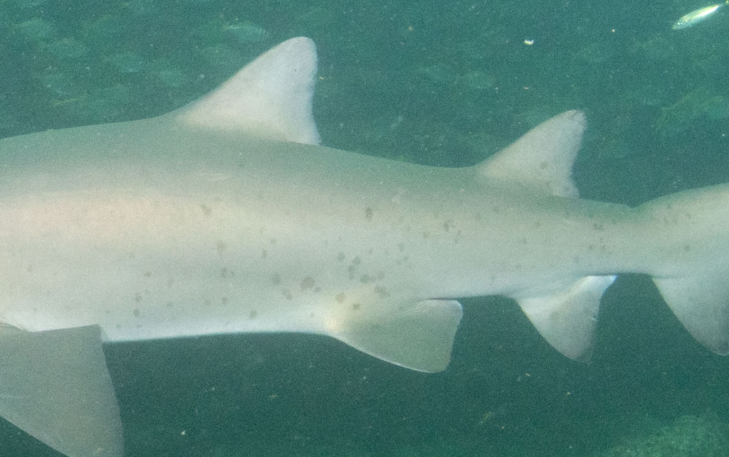 8ea088f3-528d-4322-b5bc-3cd26b485ce8