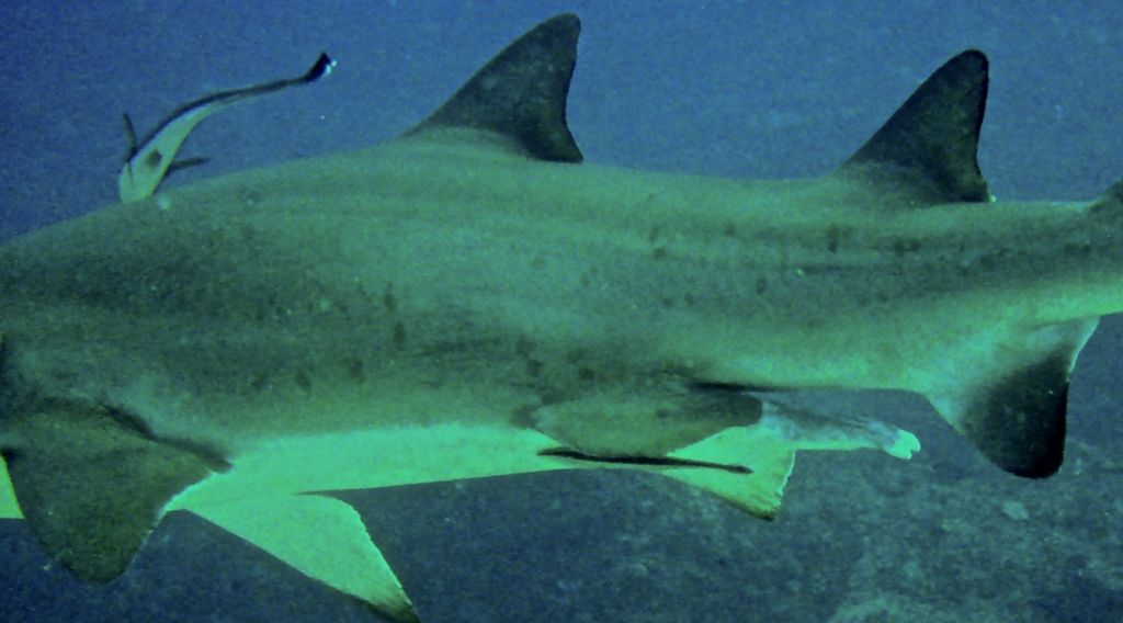 56de2c74-6b9c-4bd2-8567-92452c6167fe