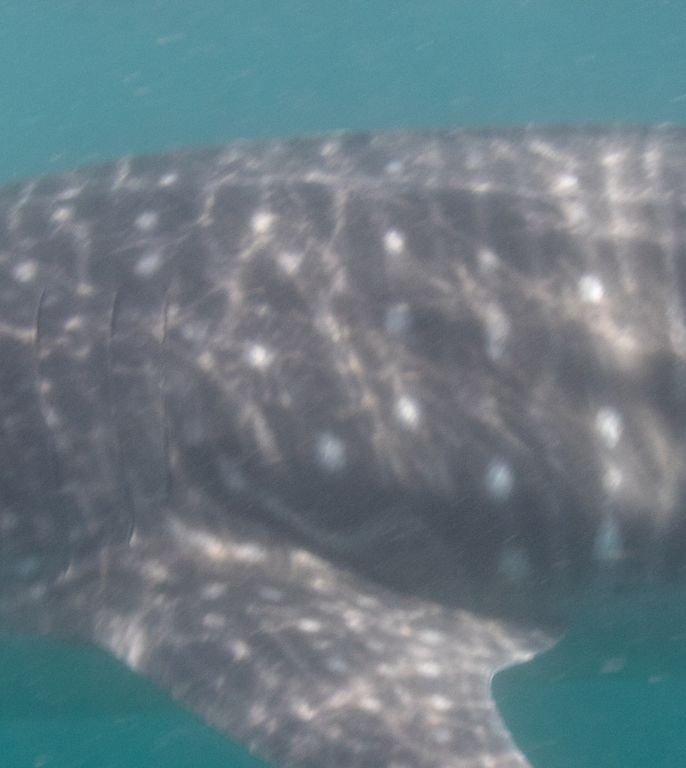 f035808a-9bda-44ce-903a-5269916c3639