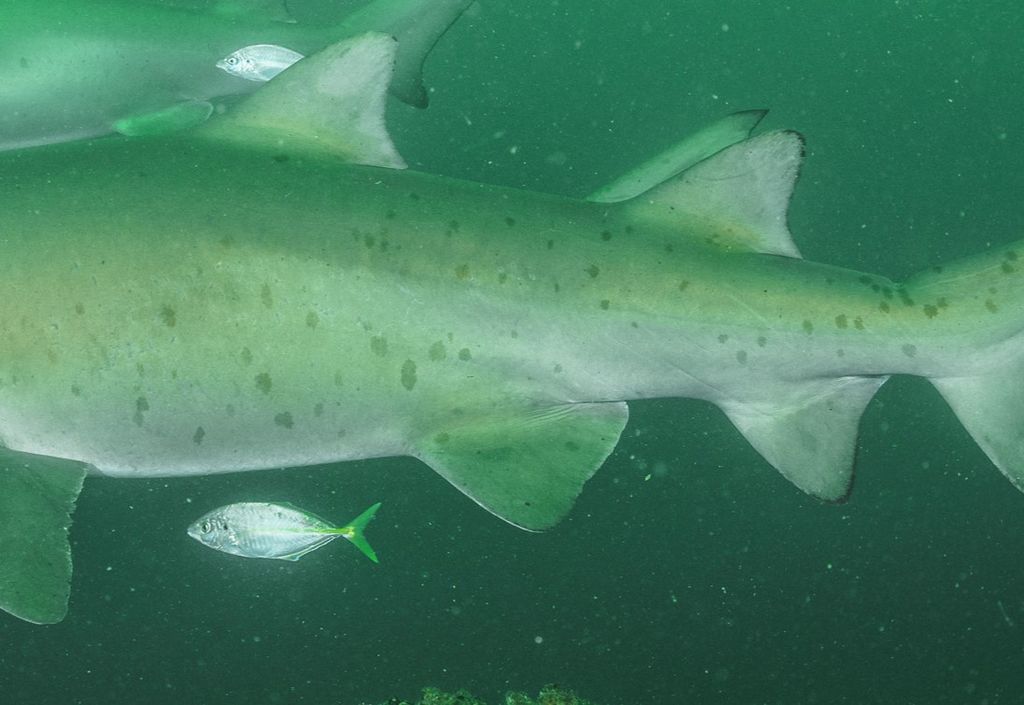 7ab15ecc-c383-4194-8826-eaaa86404d55