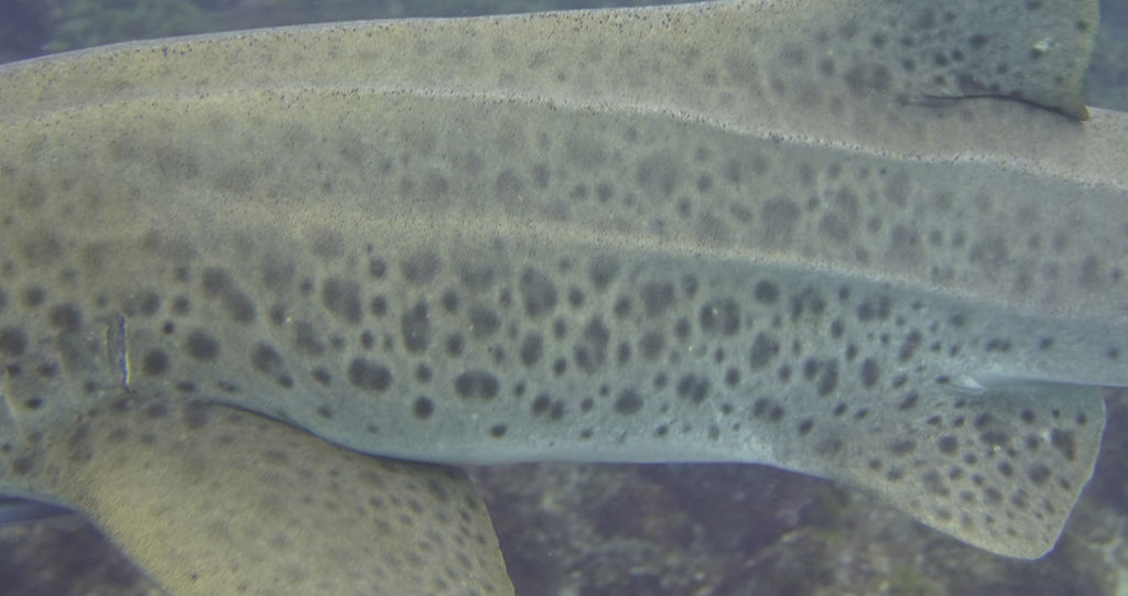 3c392ea8-9328-4a40-922e-5ee2bb19675c