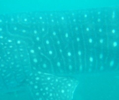 8b25e534-c126-4571-9055-226da73c5ff0