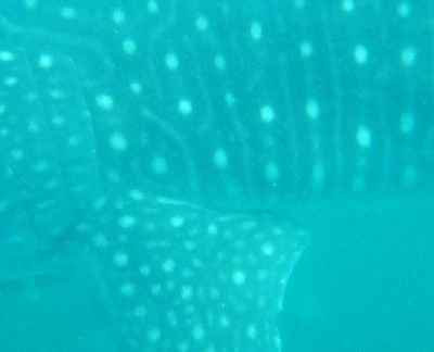 8b25e534-c126-4571-9055-226da73c5ff0