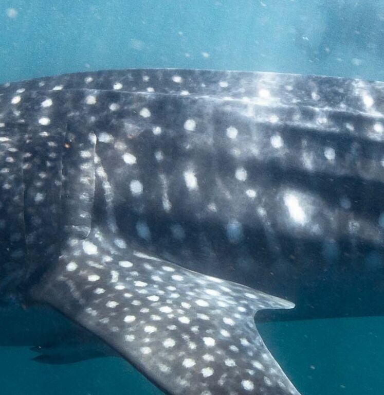 1ef8c6a7-b2d0-4ba0-a525-b137c9589748