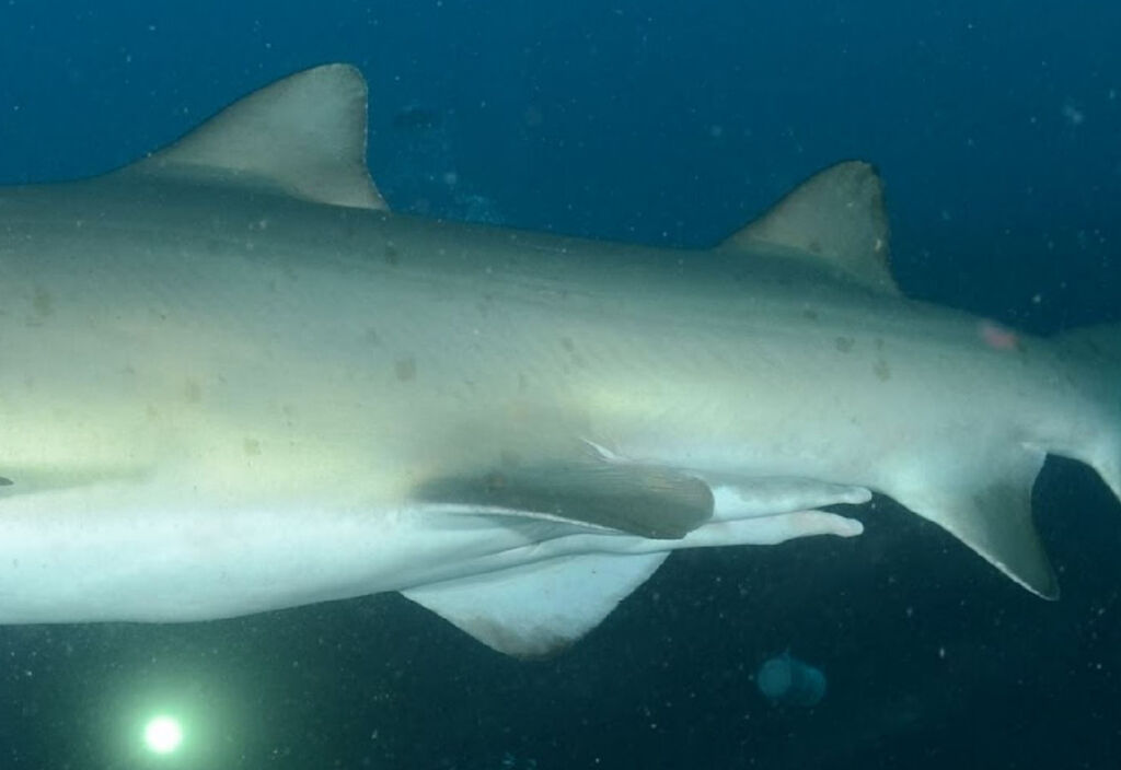 be6cd894-0b07-4ec8-bf2f-a754fc360652