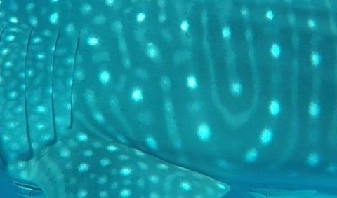 ca183f27-9e42-4e7f-8246-a064fe7b915b