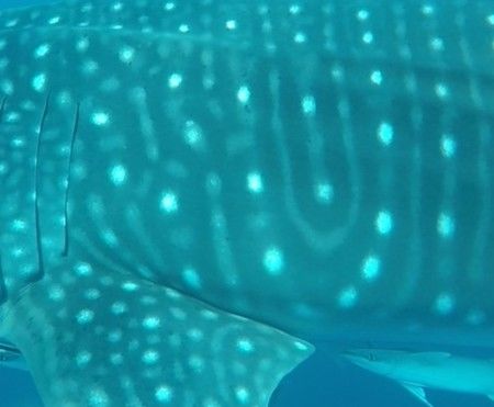 ca183f27-9e42-4e7f-8246-a064fe7b915b