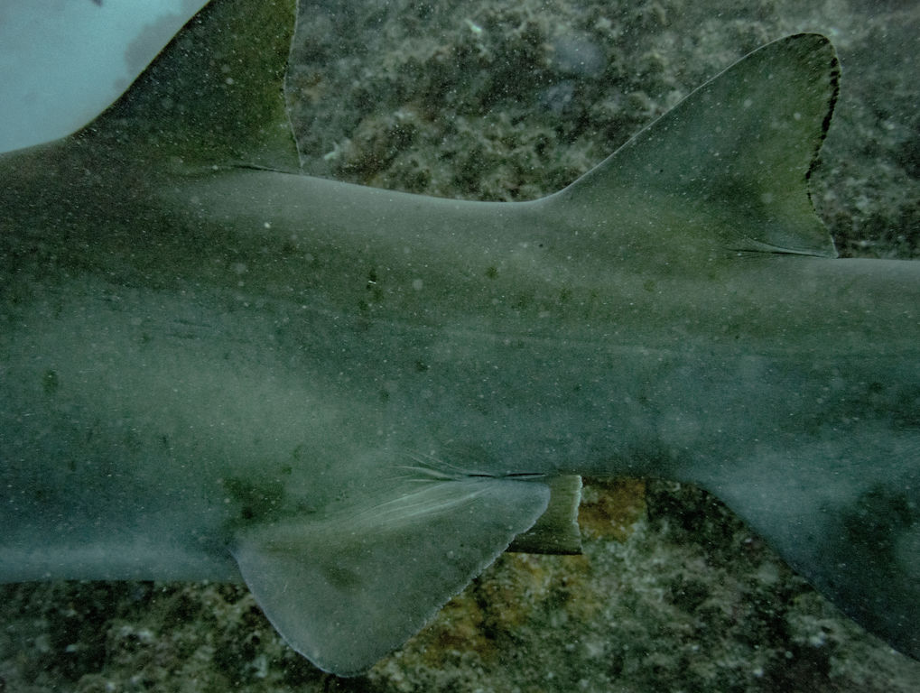 2baeec36-a40d-44db-a954-95e911c268b1